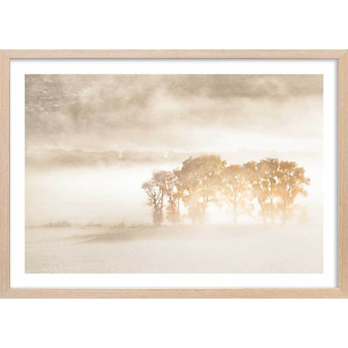 Affiche paysage terre du vent Affiche + cadre en bois - Chêne