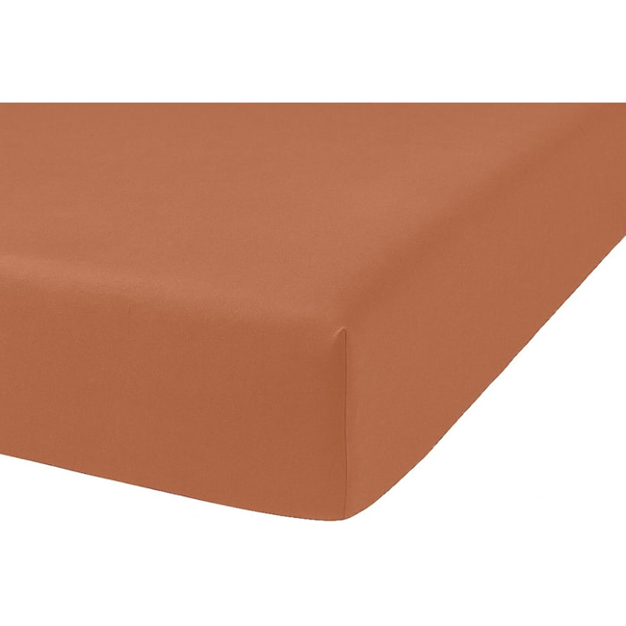 Drap Housse - 100%percale De Coton 80 Fils/cm2-bonnet 30cm-uni Terracota