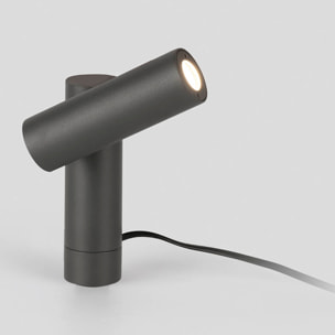 SPY 145 Estaca gris oscuro