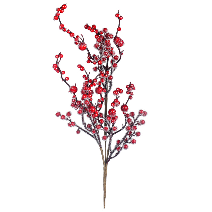 Ramo ilex - Pezzi 12 - 6xH70x5cm - Bianchi Dino SpA