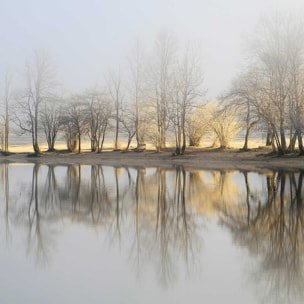 Tableau paysage Une journee de janvier Tableau alu Dibond