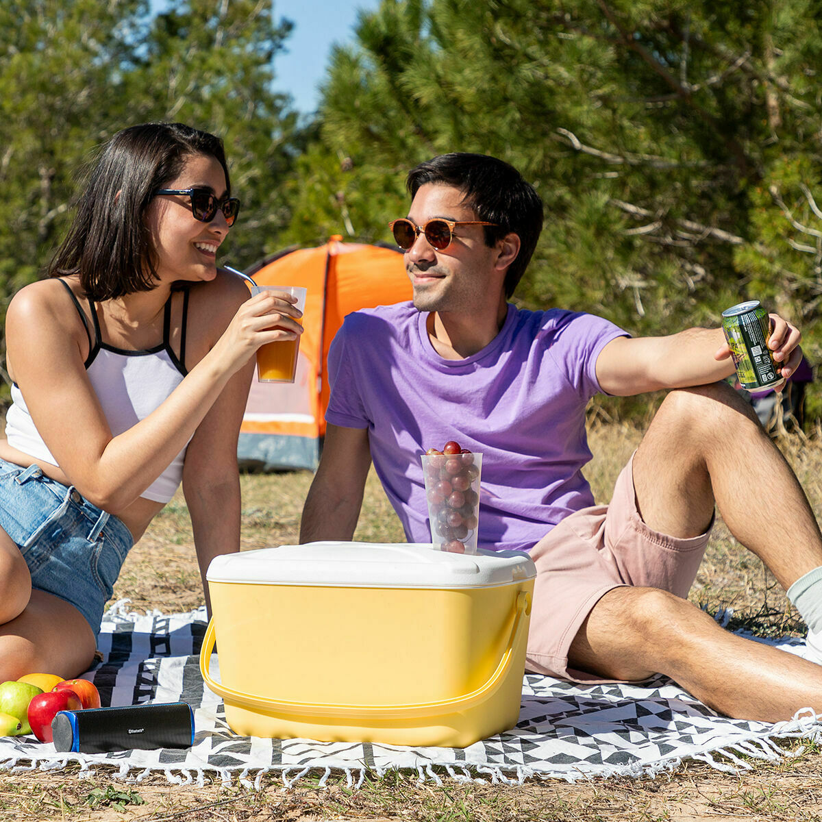 Frigorifero Portatile Rigido Lilty InnovaGoods 15 L