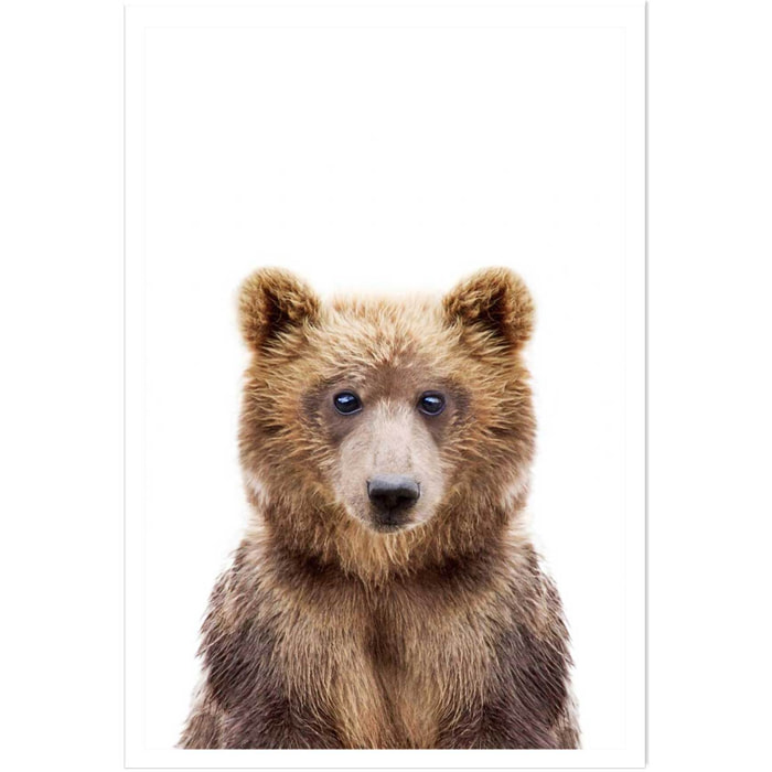Affiche enfant bébé ours  Affiche seule
