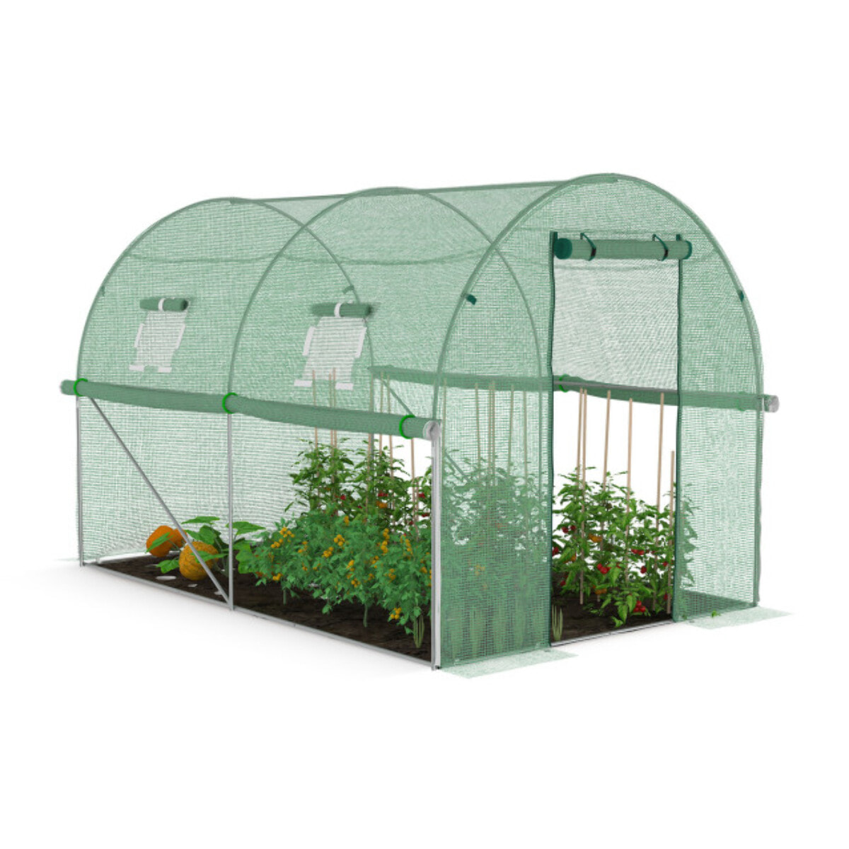 Serre tunnel verte 3x2m toutes saisons