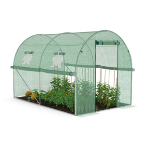 Serre tunnel verte 3x2m toutes saisons