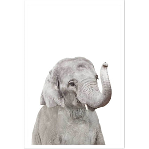 Affiche enfant bébé élephant  Affiche seule