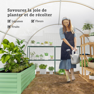 Serre de jardin tunnel 4 fenêtres acier galvanisé bâche PE blanc
