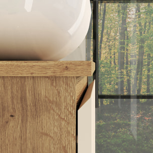 ENSEMBLE DE SALLE DE BAIN NIA | MEUBLE SUSPENDU | 60 CM GLACIER | DEUX TIROIRS |LAVABO SUR PLAN | MIROIR NON INCLUS | MEUBLE MONTÉ | ALDAY