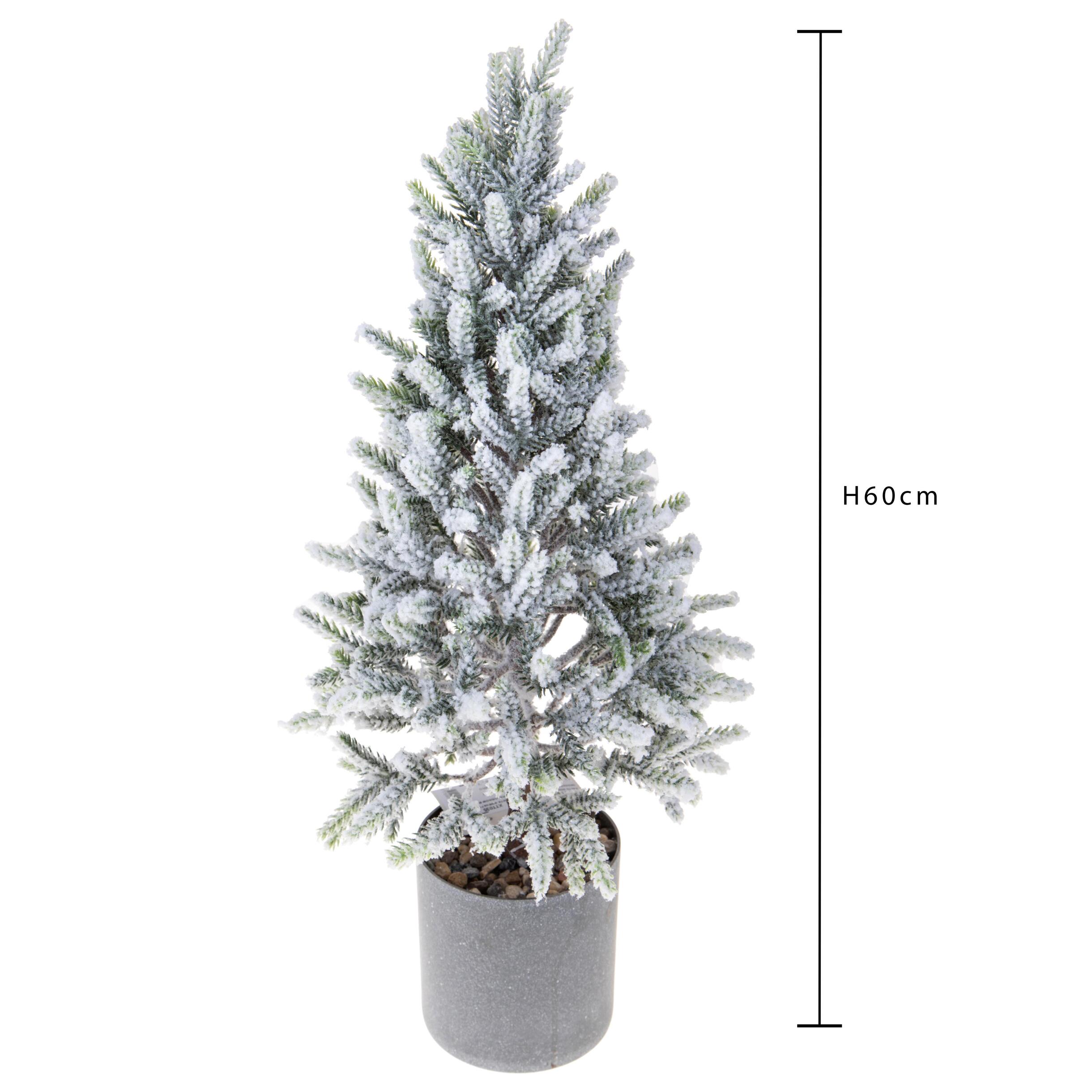 Abete inn. con vaso pe con vaso - Pezzi 1 - VERDE - Bianchi Dino SpA
