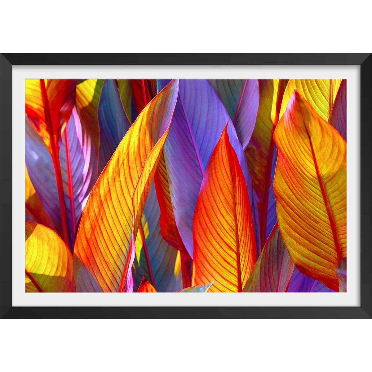 Affiche palm leaves yellow background Affiche + cadre en bois - Noir