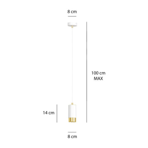 Lampada a sospensione Fumiko in acciaio bianco e oro