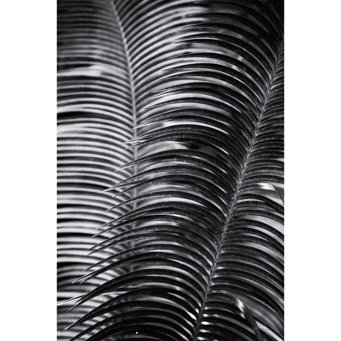 Tableau fleurs Sun palm Tableau plexiglas