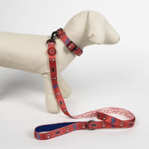 Correa para perros m diseño spiderman