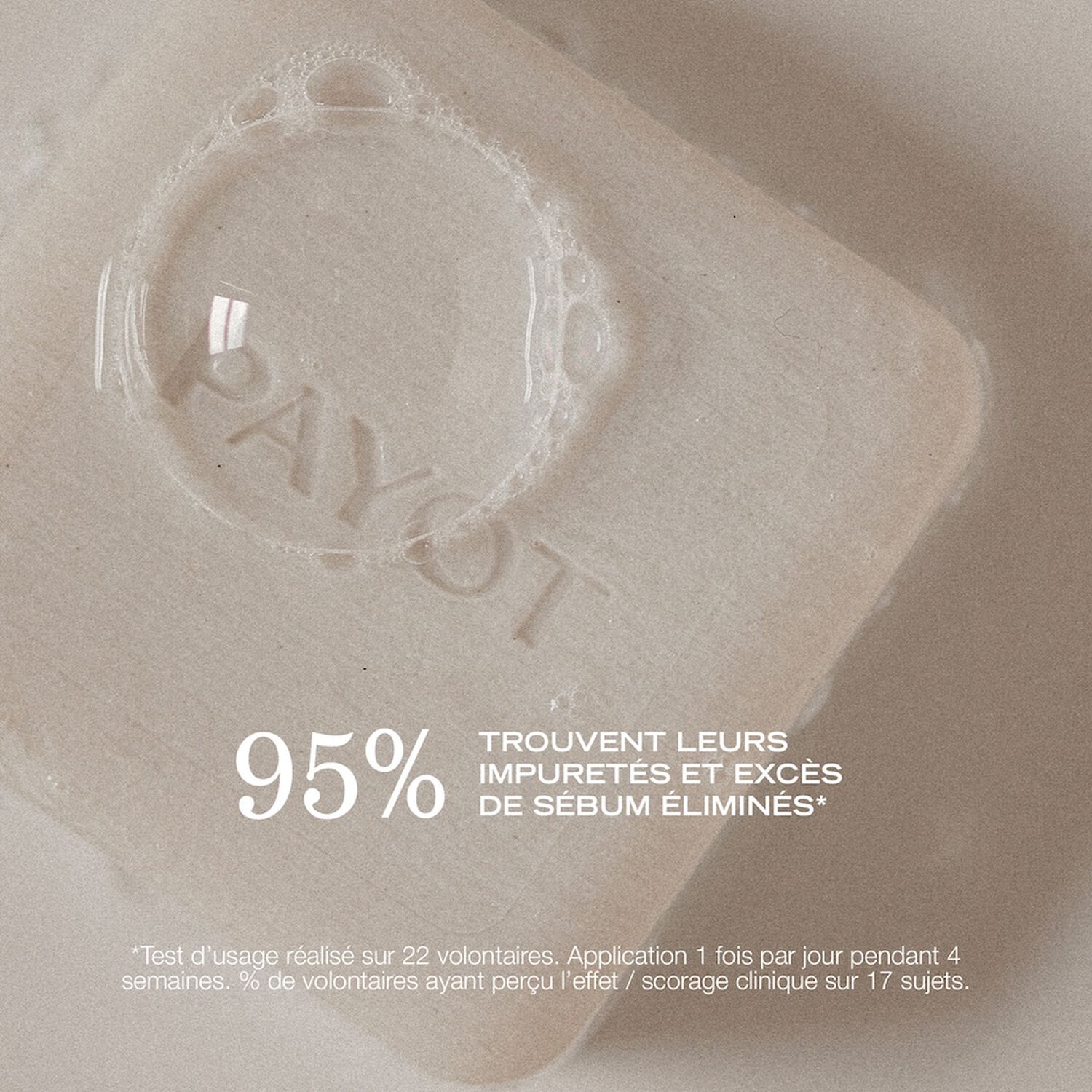 Pâte Grise - Pain Nettoyant Purifiant 65 g