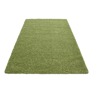 OTTAWA - Tapis shaggy uni Vert