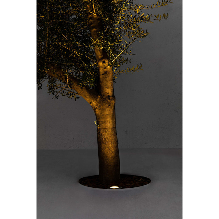 SURIA-3 LED Lampe encastrable inox 24°