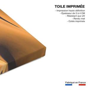 Tableau dune et lumière Toile imprimée