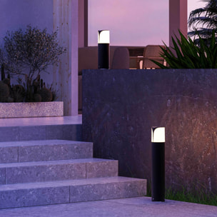 Forlight Astra Baliza gris urbano para bombilla E27