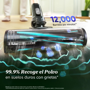 LEVOIT Aspiradora inalámbrica LVAC-300 Plus con un cepillo anti-enredos, motor 240W y cabezal flexible de 180°