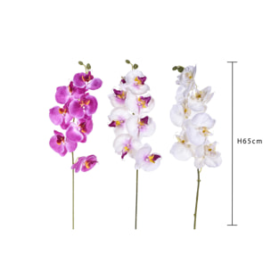 Phalaenopsis Con 8 Fiori. Altezza 65 Cm - Pezzi 12 - 14X65X8cm - Colore: Multicolore - Bianchi Dino - Fiori Artificiali