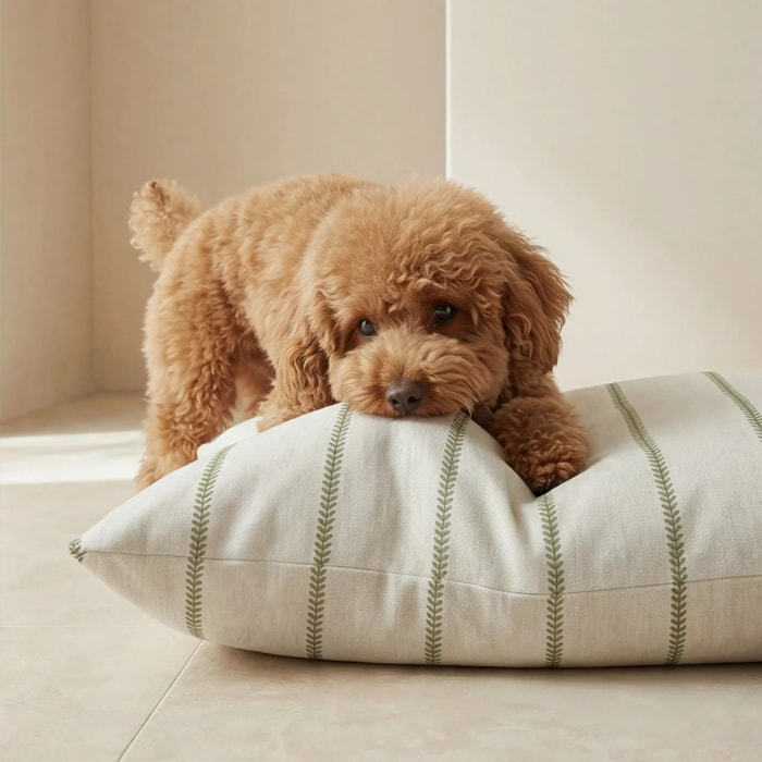 Lit pour animaux déhoussable et antitaches Ian Green