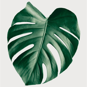 Tableau monstera perfect Tableau alu Dibond