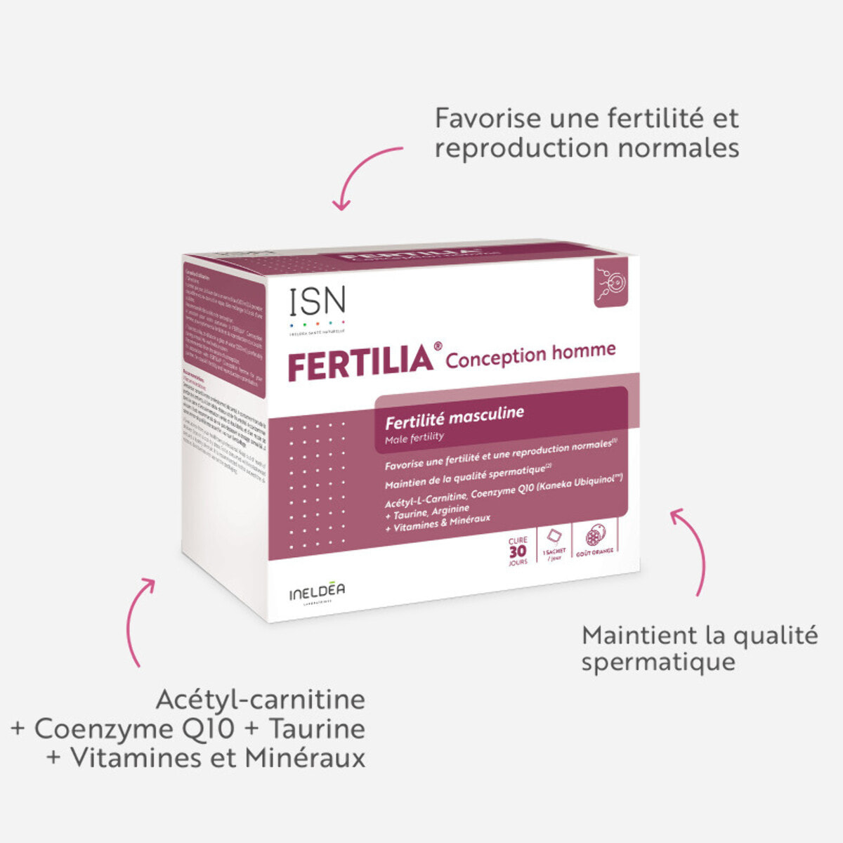ISN - Fertilia Conception Homme - Complément alimentaire à base de Carnitine, Coenzyme Q10 & vitamines - Favorise une fertilité & reproduction normales chez l'homme - Cure 30 jours
