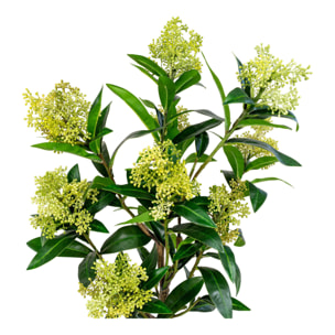 Skimmia artificiale in vaso Vikasa Home — H 75 cm