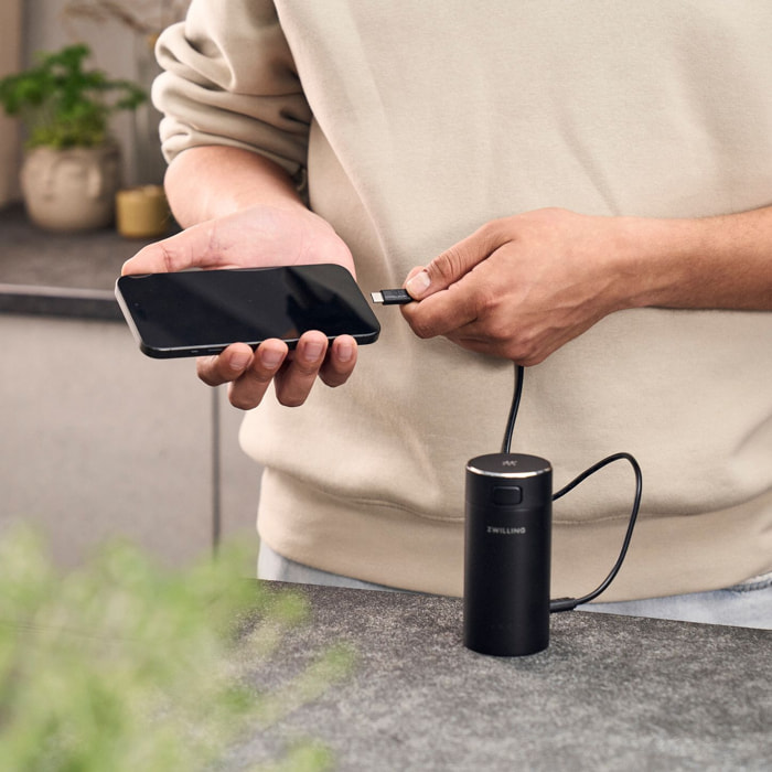 Pack de batterie, 12 V