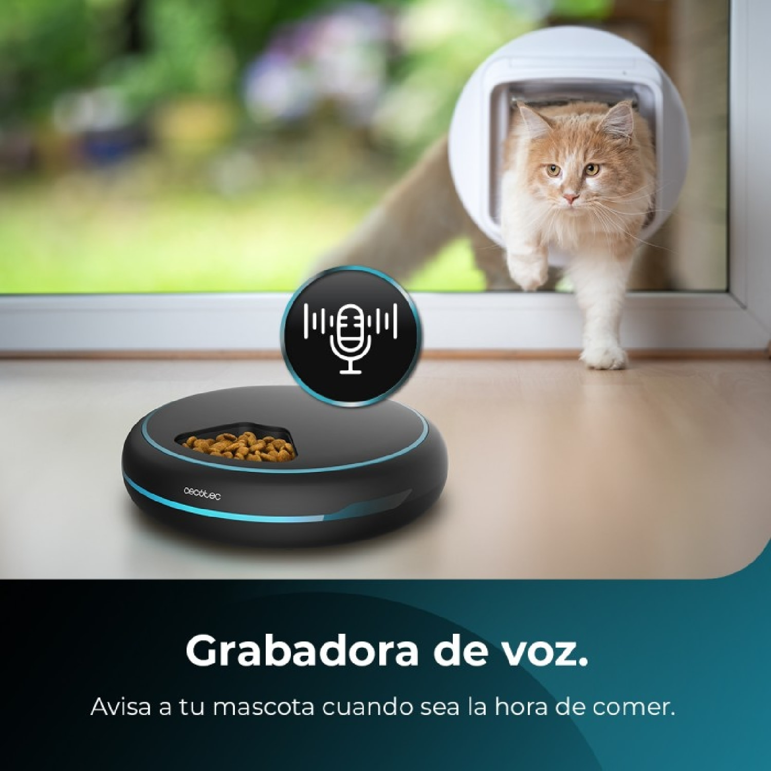 Comedero Dispensador Automático de Comida para Mascotas Pumba 1600 Purrfect Meal