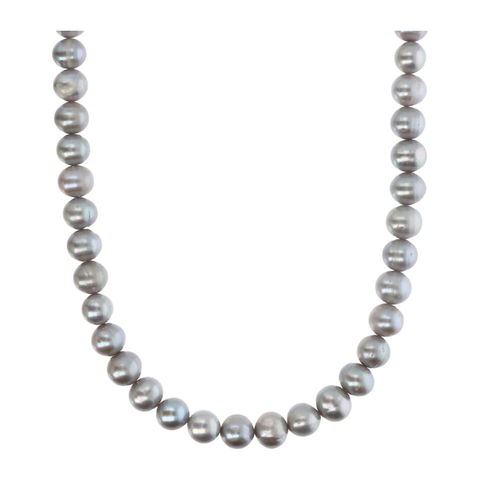 PERLAVIVA - Collana Girocollo in Argento 925 placcato Oro Giallo 18Kt con Perle Grigie d'Acqua Dolce Ø9/10mm