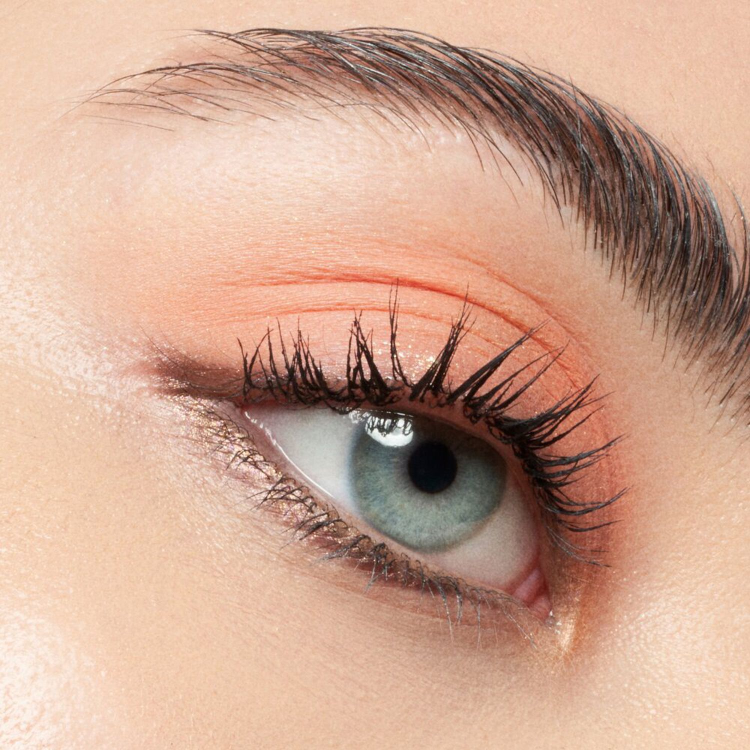Colour & Fix Brow Gel Mascara - Mascara Sourcils Gel Coloré
