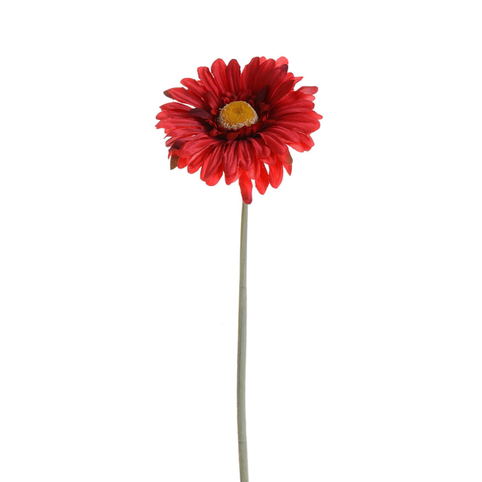 Fiore Di Gerbera. Altezza 53 Cm - Pezzi 24 - 10X53X10cm - Colore: Rosso - Bianchi Dino - Fiori Artificiali