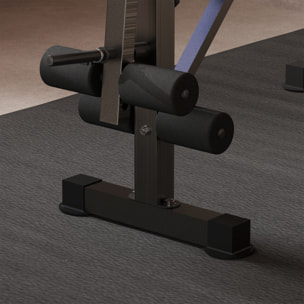 Banco de Musculación Multifuncional, Banco de Pesas con Respaldo Ajustable, Soporte para Barras Regulable, Extensión de Piernas, Curl de Predicador, Mariposa, Entrenamiento Casa Gimnasio, Azul