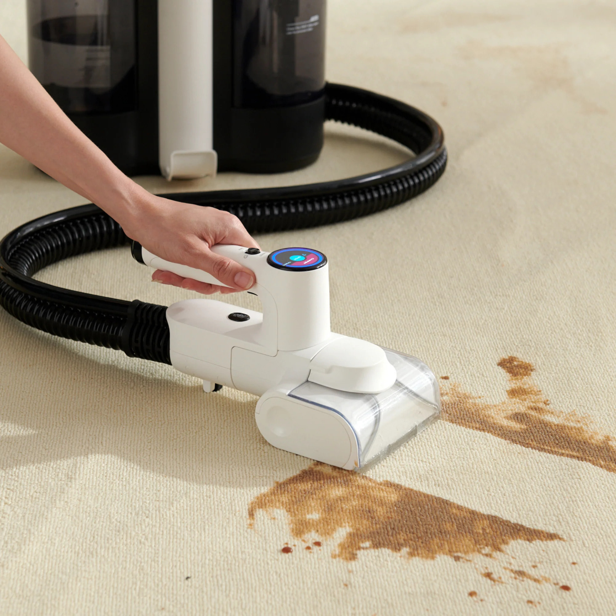 TINECO - Aspirador de alfombras Carpet One Spot Essentials