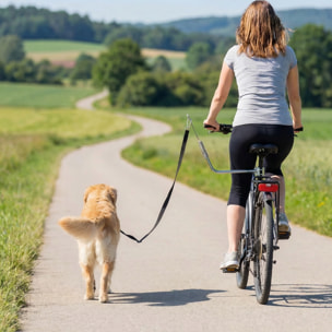 Laisse de vélo pour chien fixation facile rapide ressort amortisseur sangle ajustable