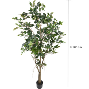 Ficus con Vaso H.183 Cm - Pezzi 1 - 183X61X61cm - Colore: Verde - Bianchi Dino - Piante Artificiali