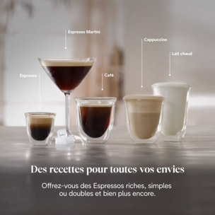 Machine à expresso DELONGHI Linea Classic EM450.M Argent