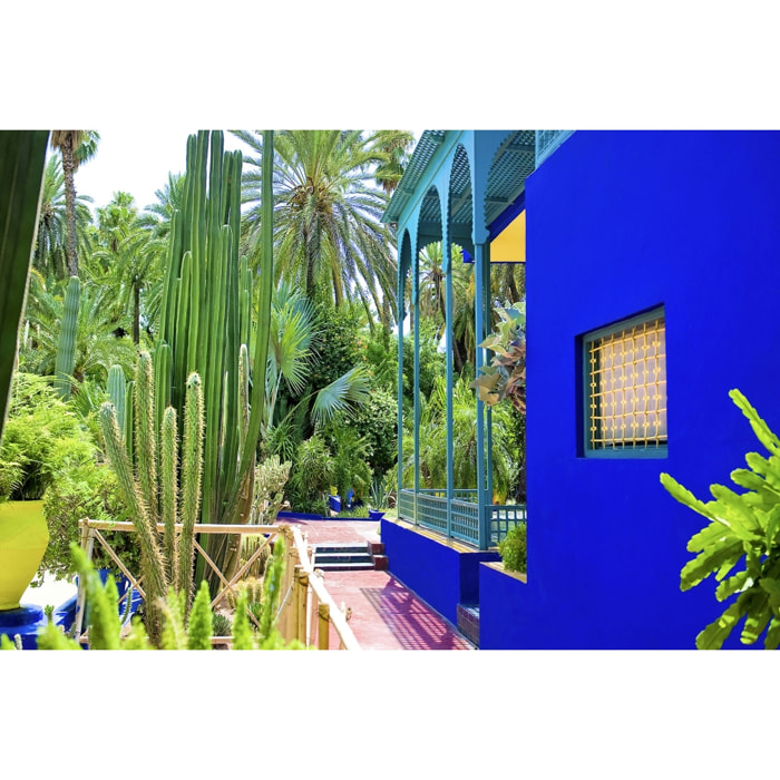 Tableau jardin majorelle Toile imprimée