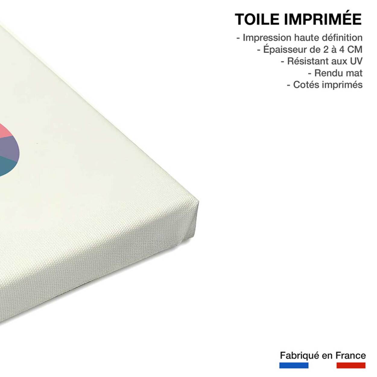 Tableau éléphant circle Toile imprimée