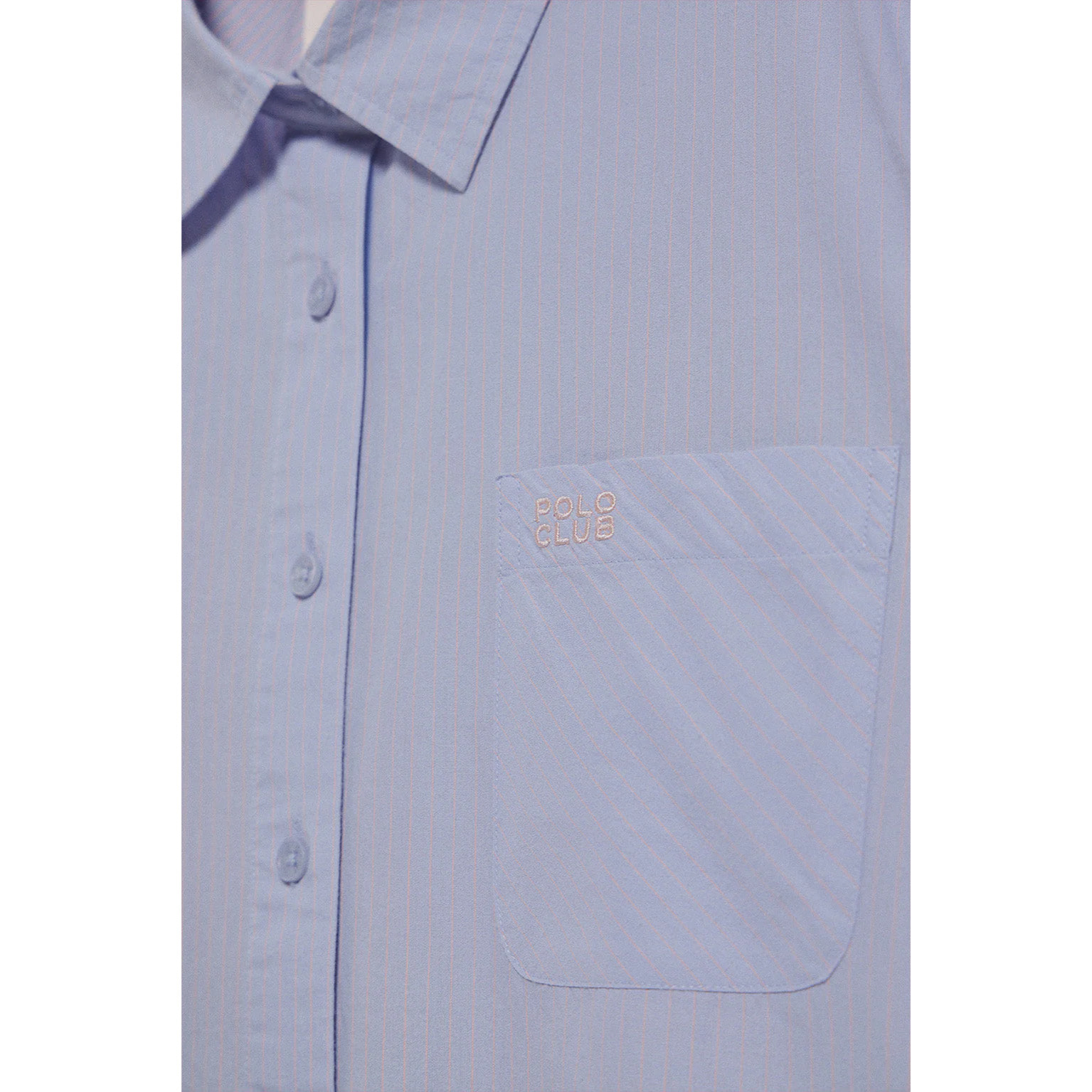 Camicia blu chiaro Samanta in cotone a righe con logo ricamato