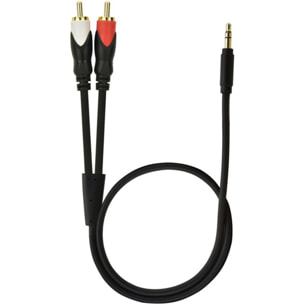 Câble Jack/RCA ESSENTIELB Jack/2 RCA - 2m - ecp