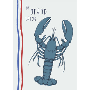 Lot de 3 torchons illustrations marines en coton lavé - Ecru