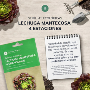 Semillas de Lechuga Mantecosa 4 estaciones ecológicas Planeta Huerto