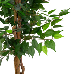 Pianta artificiale Vacchetti in plastica ficus cm h120