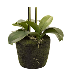 Orquidea Poliester Blanca Con Maceta 34x34x71 Cm