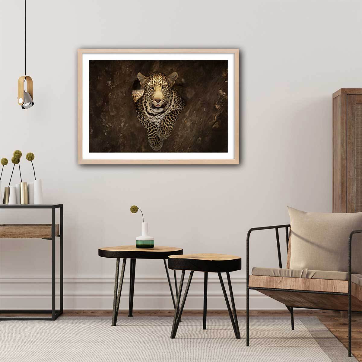 Affiche masai léopard Affiche + cadre en bois - Chêne