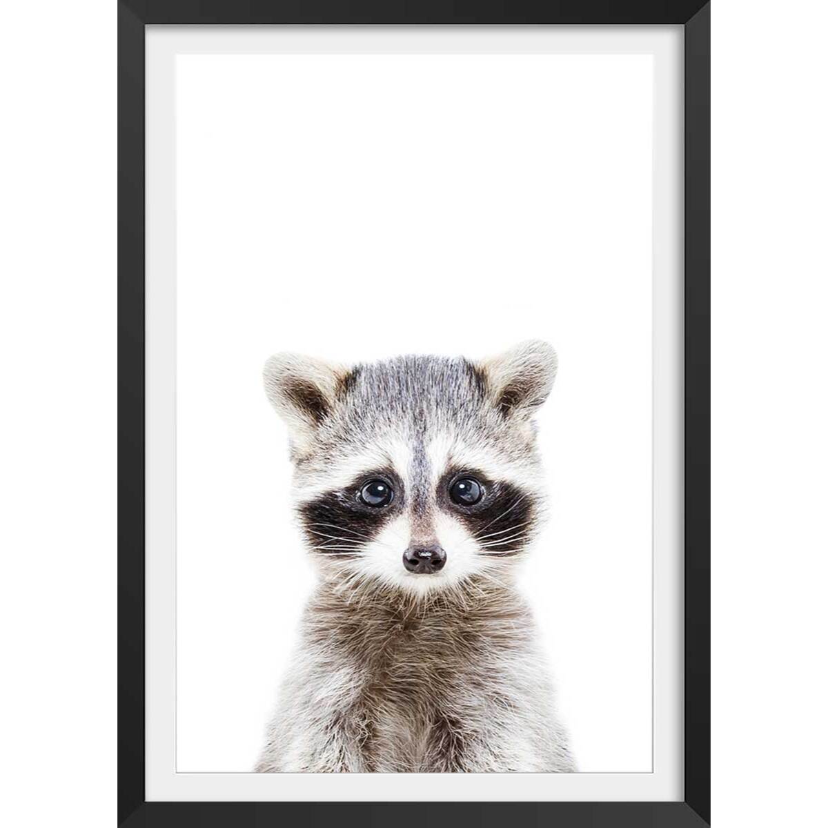 Affiche enfant bébé raton laveur  Affiche + cadre en bois - Noir