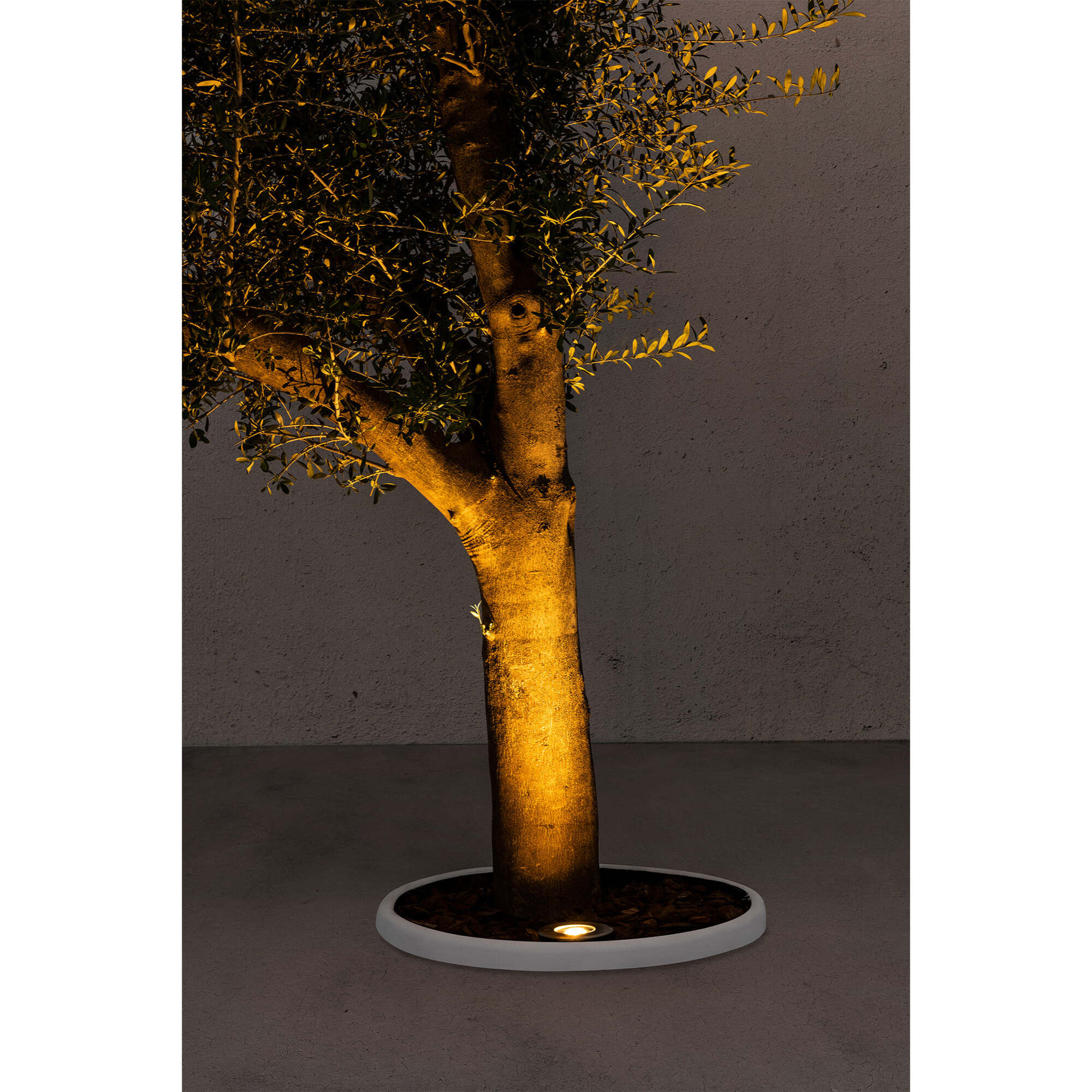 TECNO-6 Lampe encastrable inox GU10 50W