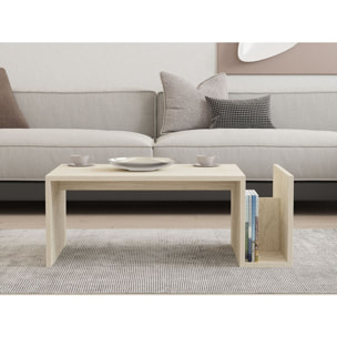 Table basse rectangulaire 2 niches - NERIS